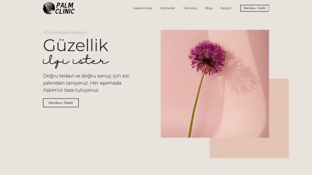 Palm Clinic web sitesi ekran görüntüsü