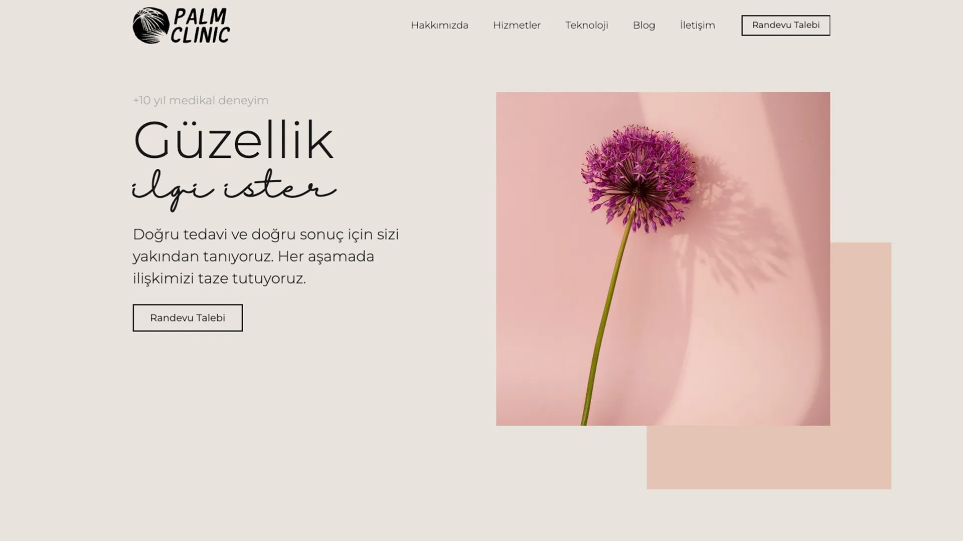 Palm Clinic web sitesi ekran görüntüsü