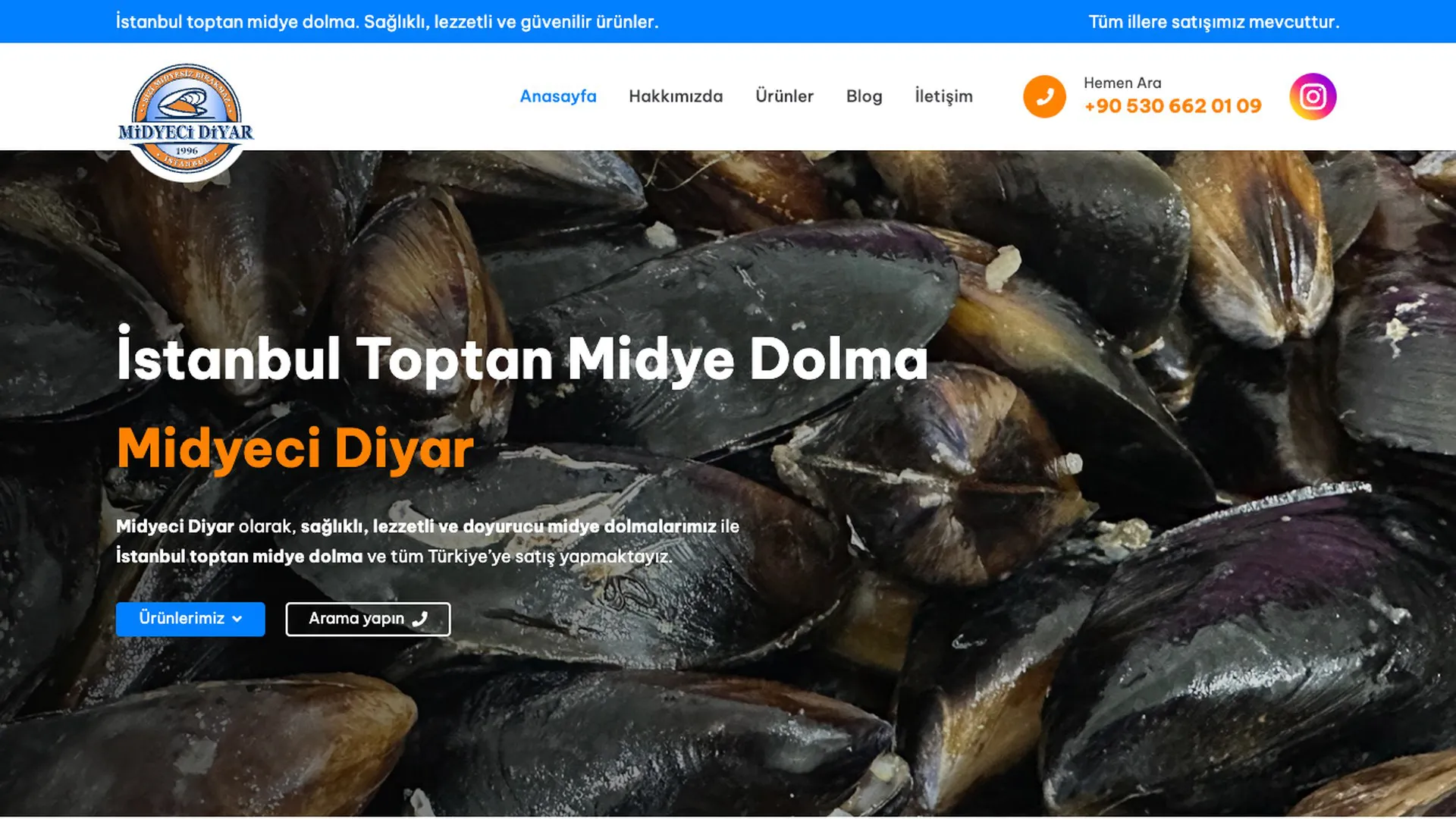 Midyeci Diyar web sitesi ana sayfa